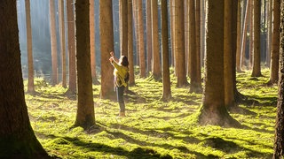 Waldbaden 