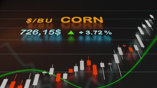 Diagramm des steigenden Maispreises auf einem Bildschirm an der Börse: Es stimmt nicht, dass Spekulationen mit Getreide die Preise in die Höhe treiben und letztlich zu Hunger der Armen in bestimmten Ländern führen. Die Zusammenhänge sind komplexer. 