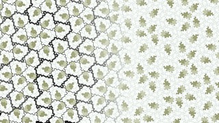 A chiral aperiodic monotile: David Smith, Joseph Samuel Myers, Craig S. Kaplan, and Chaim Goodman-Strauss, 2023