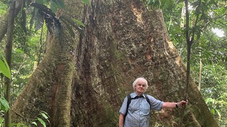 Peter Jaeggi vor Meranti-Baum