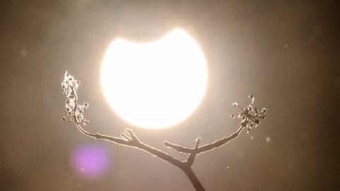 Eine partielle Sonnenfinsternis war im Juni 2021 in Deutschland zu sehen