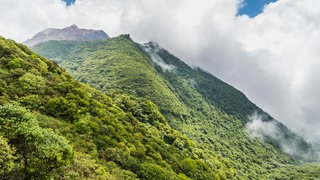 Natur des Berges Unzen in Kumamoto, Japan