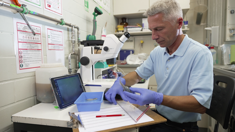 Der Biologe Ralph Schill in seinem Labor am Institut für Biomaterialien und biomolekulare Systeme in Stuttgart.