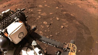 Rover Peseverance rollt über den Mars