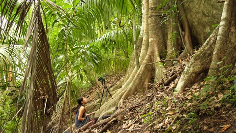 Ahana Fernandez forscht im Wald.