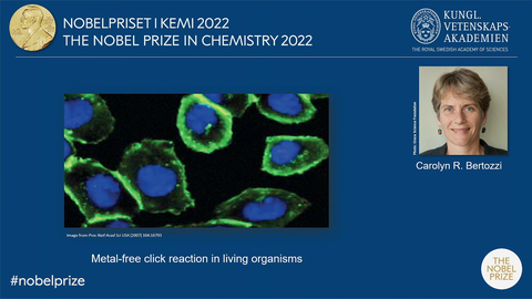 Chemie-Nobelpreisgewinnerin Carolyn R. Bertozzi