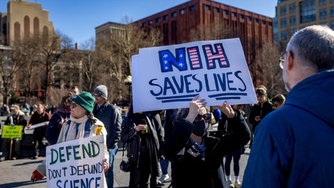 Ein Demonstrationsschild mit der Aufschrift "NIH saves lives". Gemeint sind die National Institutes of Health die von Trumps Politik beeinflusst sind.