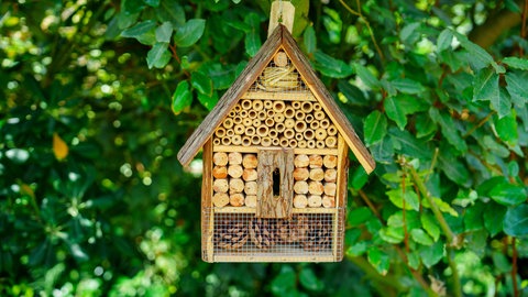 Ein Insektenhotel für Bienen und Wildbienen im Garten.