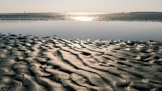 Priel im Wattenmeer zwischen Cuxhaven und der Insel Neuwerk