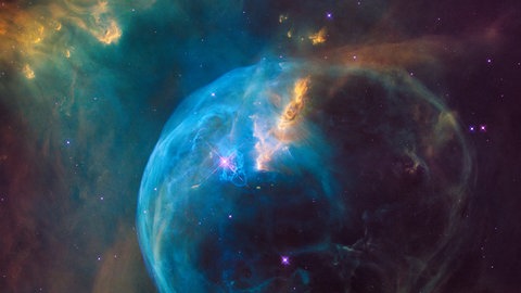 Universum
