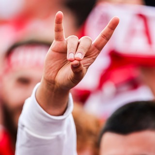 Fußball-EM, Viertelfinale Niederlande - Türkei: Ein türkischer Fan zeigt beim Public Viewing während der Nationalhymne den "Wolfsgruß", dessen Ursprung einer rechtsextremistischen Bewegung zugeordnet wird. 