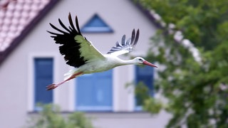 IMAGO  Andreas Gora