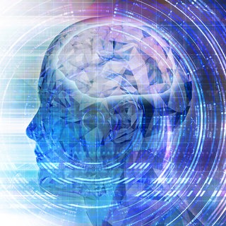 Neurotechnologie (Symbolbild): Menschen mit neurologischen Schädigungen können von der hochspeziellen Technik profitieren. Sie müssen aber viel trainieren, um ihre kommunikativen und motorischen Fähigkeiten zu aktivieren.