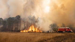Feuerwehrleute bekämpfen Waldbrände in Gironde