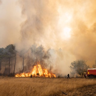 Feuerwehrleute bekämpfen Waldbrände in Gironde