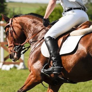 Pferd und Reiter bei einem Springturnier: Nach einer Regellockerung wird über das Tierwohl im Pferdesport diskutiert: Wie viel Leistungsdruck darf sein? 
