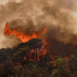 Symbolbild: Feuerwehrleute bekämpfen Waldbrand in Böotien aus der Luft und am Boden, Griechenland, August 2026