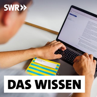 Ein Schüler eines Gymnasiums sitzt vor einem Laptop und benutzt ein KI-Tool, vor ihm eine Lektürehilfe zur Georg Büchners "Woyzeck": KI verändert das Lernen in der Schule.