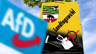 AfD-Logo auf einer Fahne vor einem Plakat zur Landtagswahl in Sachsen-Anhalt (Fotomontage): Warum wählen so viele Ostdeutsche rechts?