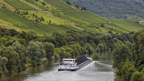Saar bei Konz in Rheinland-Pfalz: Nach dem Zweiten Weltkrieg sollten das Saarland und Rheinland-Pfalz ein gemeinsames Bundesland bilden. Das war zumindest der Plan der amerikanischen Besatzungsmacht.