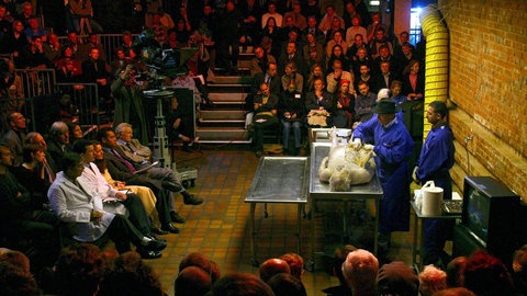 Der deutsche Anatomie-Professor Gunther von Hagens (2.v.r.) seziert am 20.11.2002 in einer Londoner Kunstgalerie den Leichnam eines 72 Jahre alten deutschen Mannes – die erste öffentliche Sektion in Großbritannien seit 170 Jahren. 