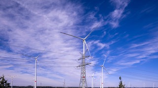 Windrad und Strommast