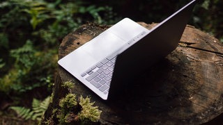 Laptop auf Baumstamm