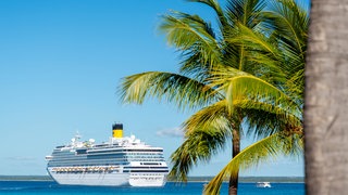 Kreuzfahrtschiff mit Palme