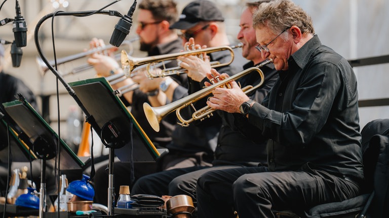 Benefizkonzert des Bundespräsidenten - Musiker der SWR Big Band