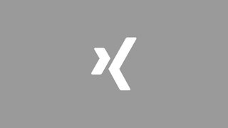 Das Bild zeigt das Logo von Xing