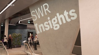 SWR Insights