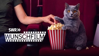SWR „Samstag ist Wunschfilmzeit" – Filmklassiker im August