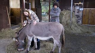Celine striegelt Esel Doudou, Albert steht missmutig daneben