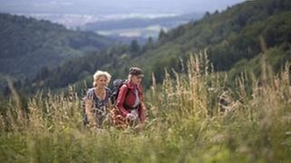 Johanna und Bea wandern durch die Schwarzwaldlandschaft