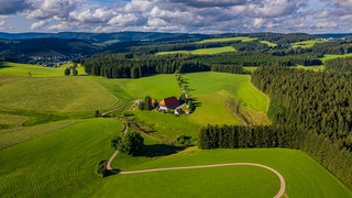 Der Fallerhof von oben im Sommer