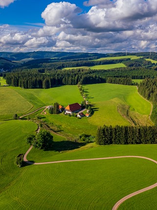 Der Fallerhof von oben im Sommer