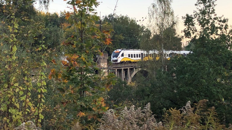 Das Bober-Viadukt kurz vor Jelenia Gora ist eins der großen Eisenbahn-Bauwerke auf der Strecke. Inzwischen ist es in viel Grün gehüllt und nicht mehr leicht zu filmen und fotografieren. 