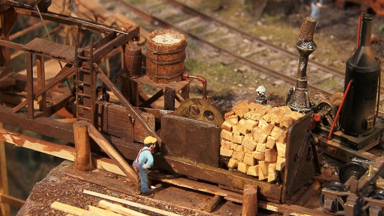 Hans-Heinrich Schubert: Amerikanische Waldeisenbahn