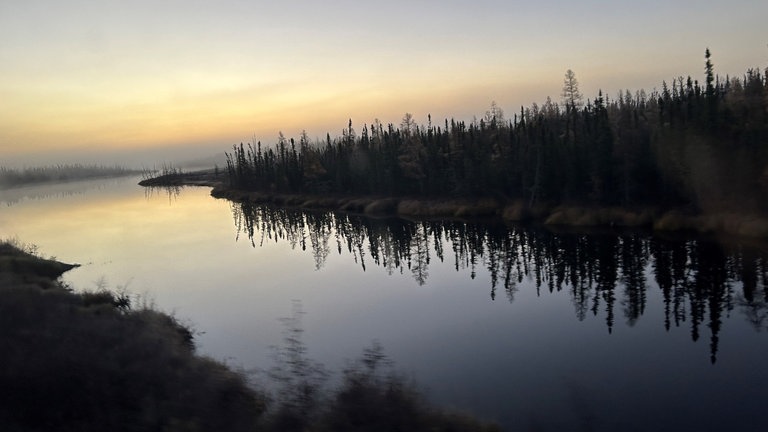 Immer wieder Wald und Wasser: auch beim Blick aus dem Fenster vor Sonnenaufgang. 