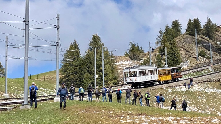 Auch Triebwagen Nr. 6 ist ein durchaus beliebtes Fotomotiv, selbst wenn er ohne Dampf unterwegs ist: an diesem Tag fotografiert jeder alles, was sich bewegt. Es sind ja auch alles interessante historische Sonderfahrzeuge!