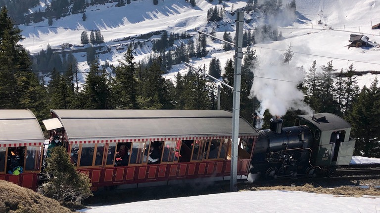 Mit Dampflok Nr. 16 geht es auf den verschneiten Berg. Die Rigi ist auch ein Winterparadies.