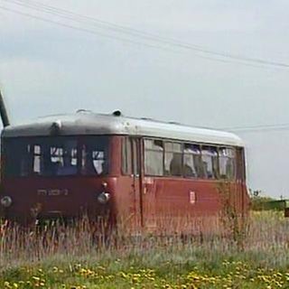144 Ferkeltaxe