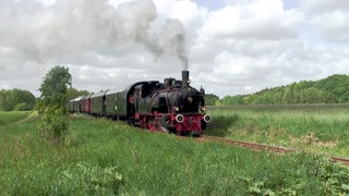Donnerbüchsen