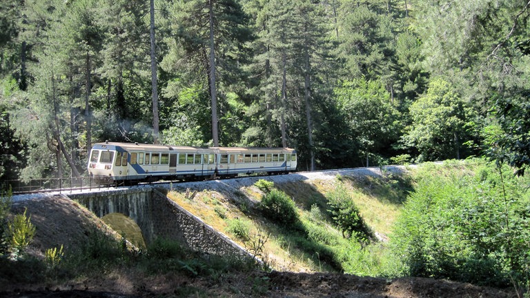 „U Trinighellu“, „der Zitternde“, im Wald vor Viazzavona.