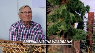 Amerikanische Waldbahn