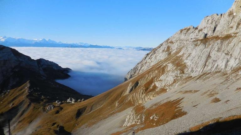 Auf der Sonnenseite des Lebens