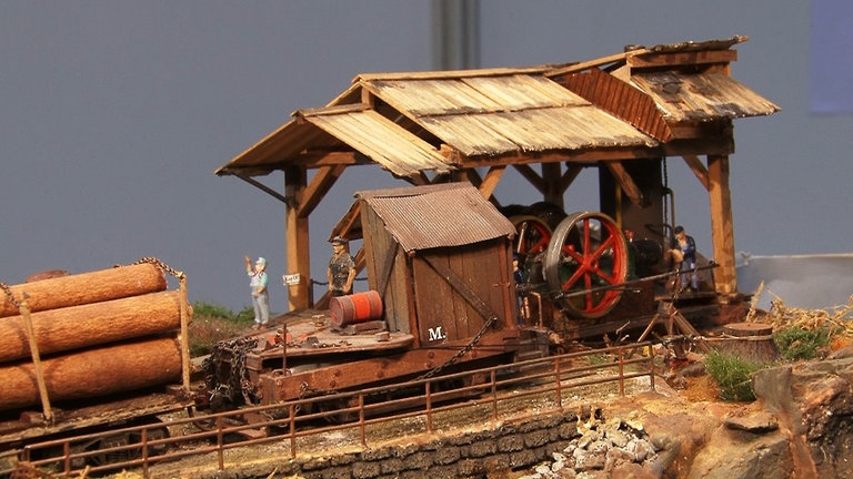Hans-Heinrich Schubert: Amerikanische Waldeisenbahn