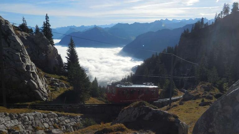 Baumgrenze bei 1.600 Meter