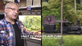 Männliche Person und Modelleisenbahn