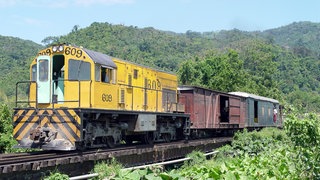 Bananenzug Honduras